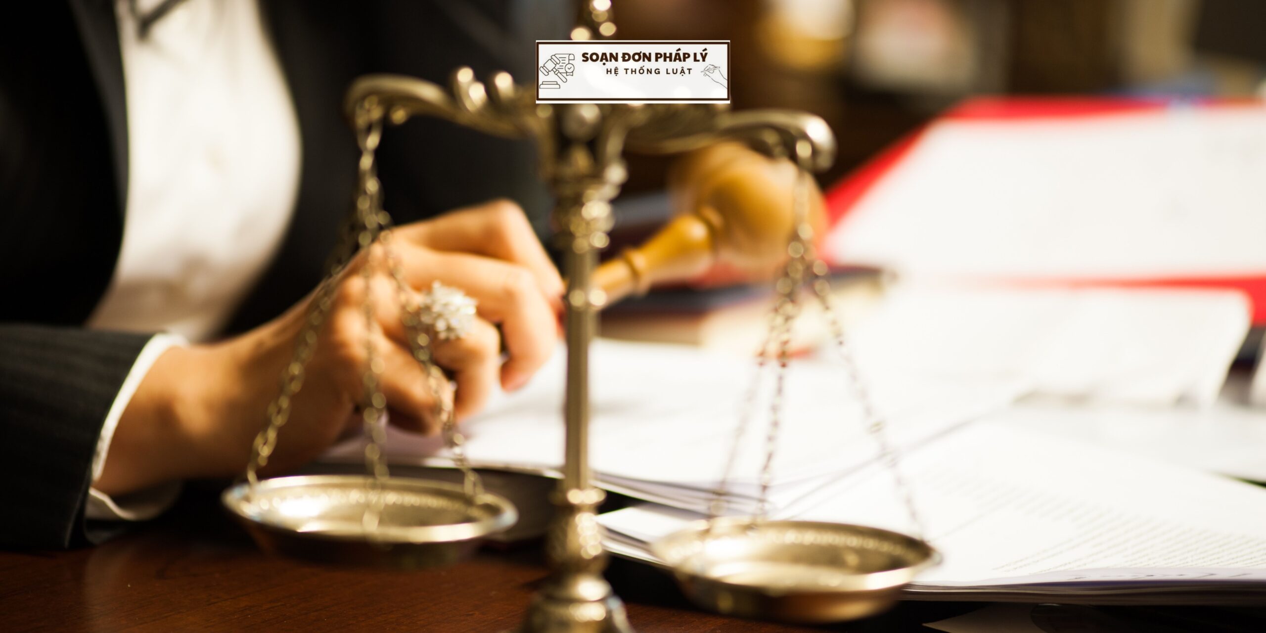 [LUẬT SƯ SOẠN ĐƠN UY TÍN] –  Dịch vụ tư vấn soạn đơn theo yêu cầu tại địa điểm Phong Tân, Giá Rai, Bạc Liêu - Ảnh 2